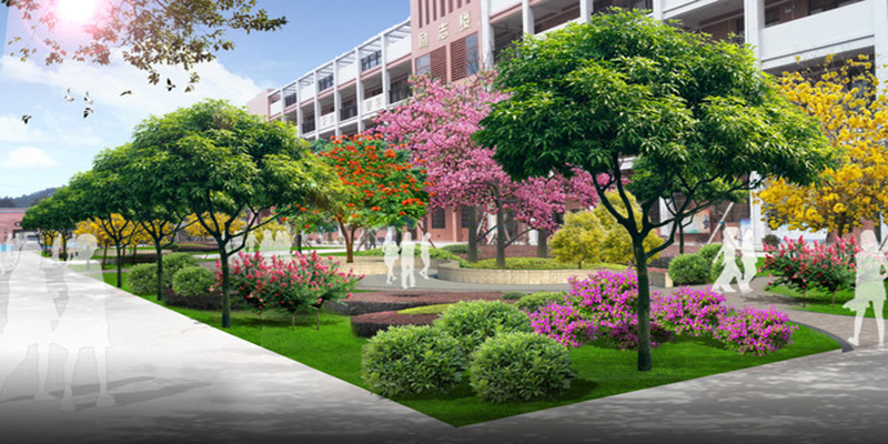 大学校园绿化设计
